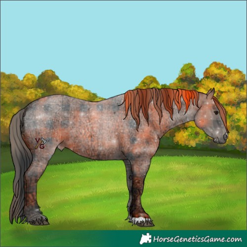 Horse Color:Plaid Blue Ice Roan