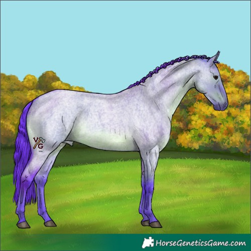 Horse Color:Watercolor Grullo Roan 