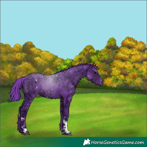 Horse Color:Watercolor Black Ice Tobiano 
