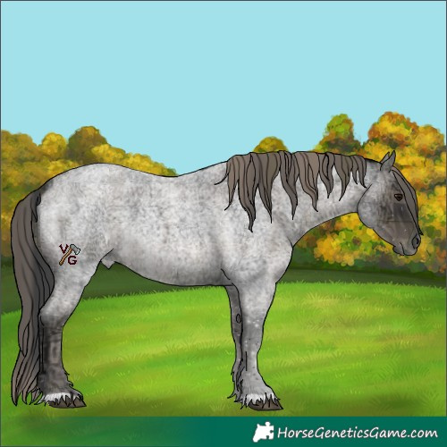 Horse Color:Plaid Blue Ice Roan