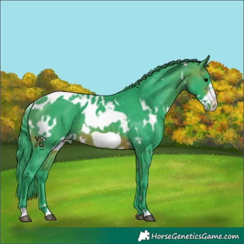 Horse Color:Watercolor White Spotted Brown Frame Skewed Appaloosa
