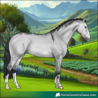 Horse Color:Bay Chinchilla Dun