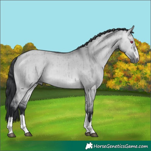 Horse Color:Bay Chinchilla Dun Brindle 
