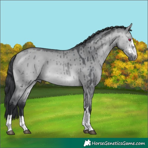 Horse Color:Bay Chinchilla Dun Brindle