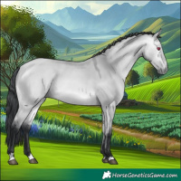 Horse Color:Bay Chinchilla Dun
