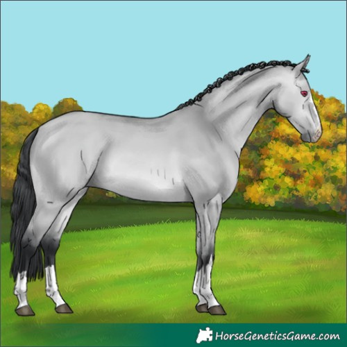 Horse Color:Bay Chinchilla Dun