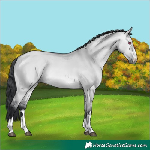 Horse Color:Bay Chinchilla Dun