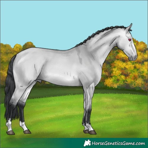Horse Color:Bay Chinchilla Dun