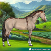 Horse Color:Bay Dun