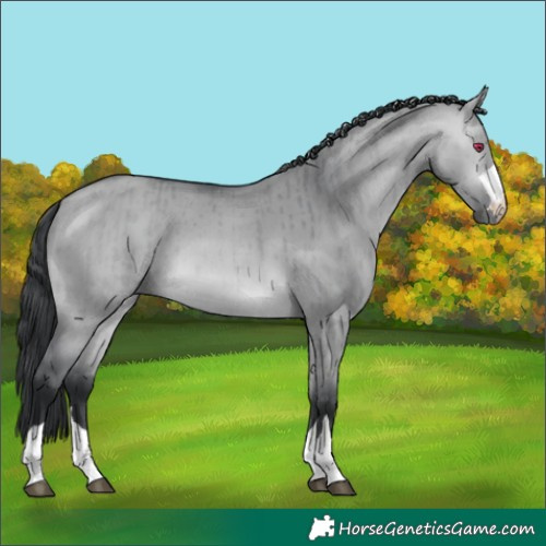 Horse Color:Bay Chinchilla Dun Brindle