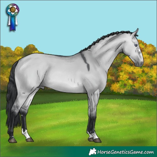 Horse Color:Bay Chinchilla Dun