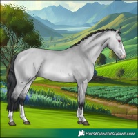 Horse Color:Bay Chinchilla Dun Brindle
