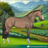 Horse Color:Bay Dun Brindle