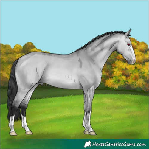 Horse Color:Bay Chinchilla Dun 