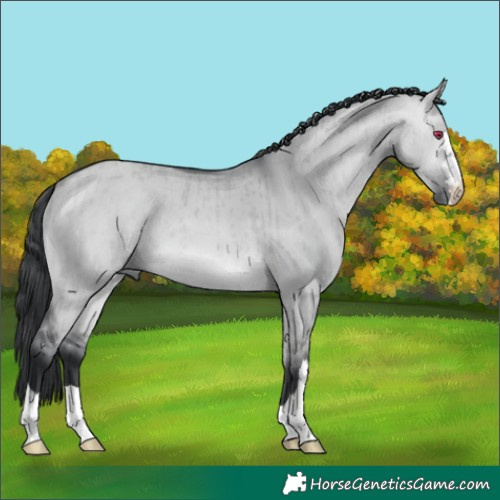 Horse Color:Bay Chinchilla Dun Brindle 