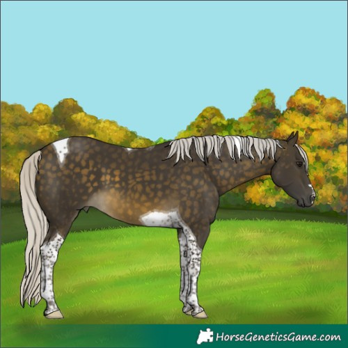 Horse Color:Silver Buckskin Tobiano 