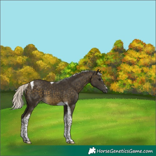 Horse Color:Silver Buckskin Tobiano 
