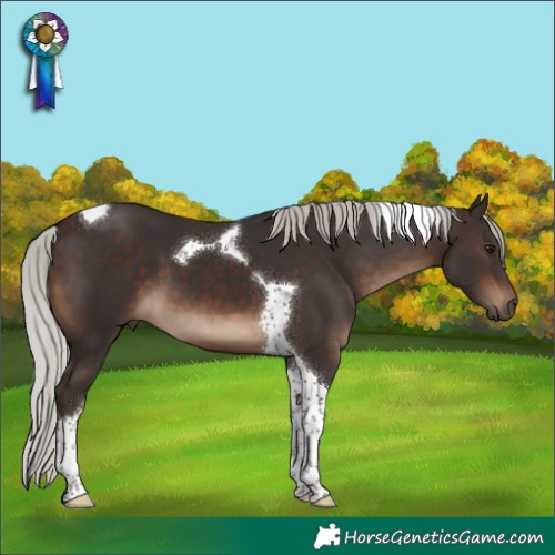 Horse Color:Silver Brown Tobiano 