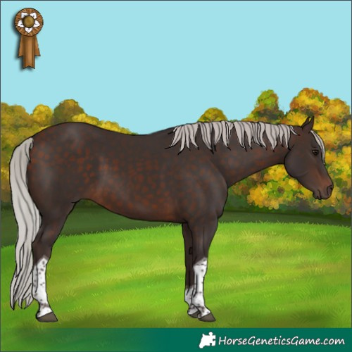 Horse Color:Silver Brown Tobiano 