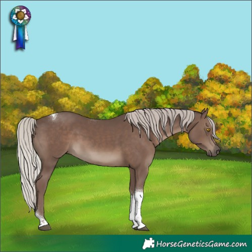 Horse Color:Silver Black Tobiano