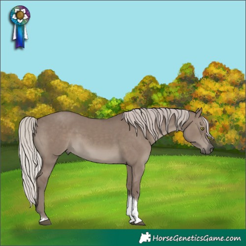 Horse Color:Silver Grullo Tobiano Rabicano 