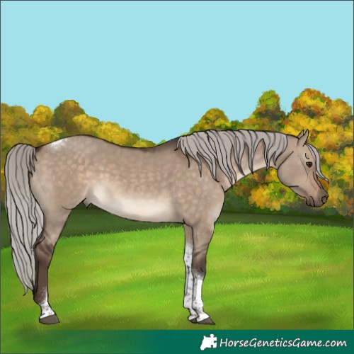 Horse Color:Silver Brown Dun Tobiano