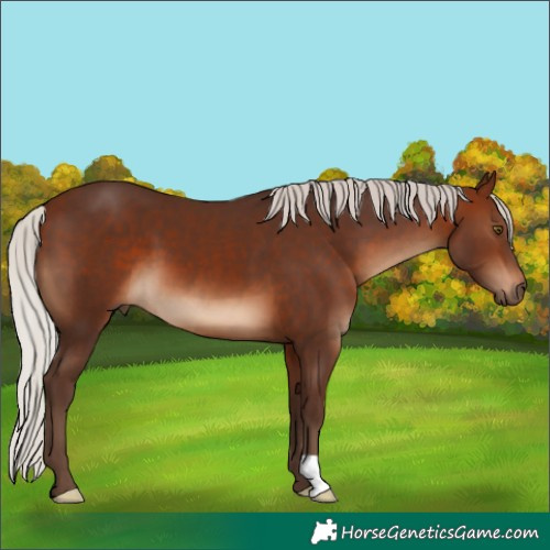 Horse Color:Silver Brown 