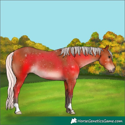 Horse Color:Silver Bay