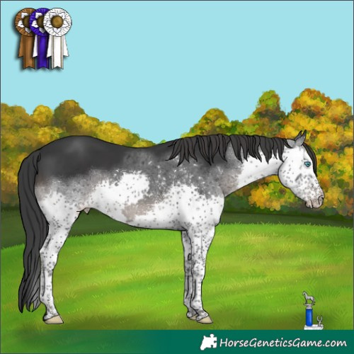 Horse Color:Black Splash Tobiano Varnish 