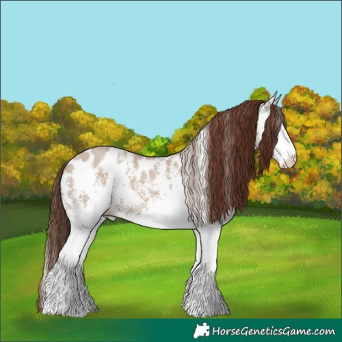 Horse Color:White Spotted Classic Champagne Dun Blanket