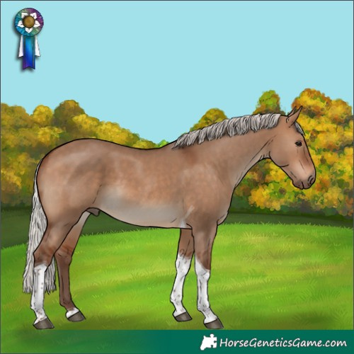 Horse Color:Silver Brown Dun Tobiano