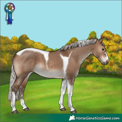 Horse Color:Silver Brown Dun Tobiano