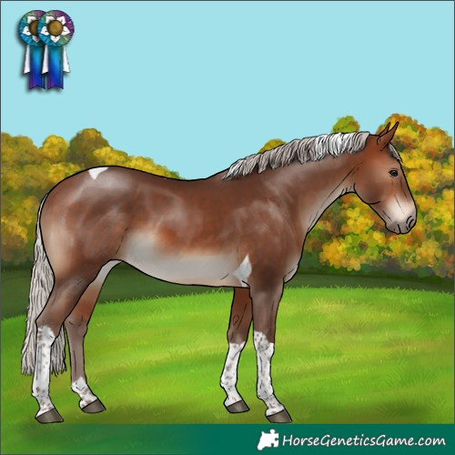 Horse Color:Silver Bay Tobiano 