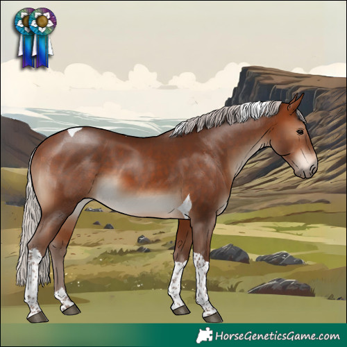 Horse Color:Silver Bay Tobiano