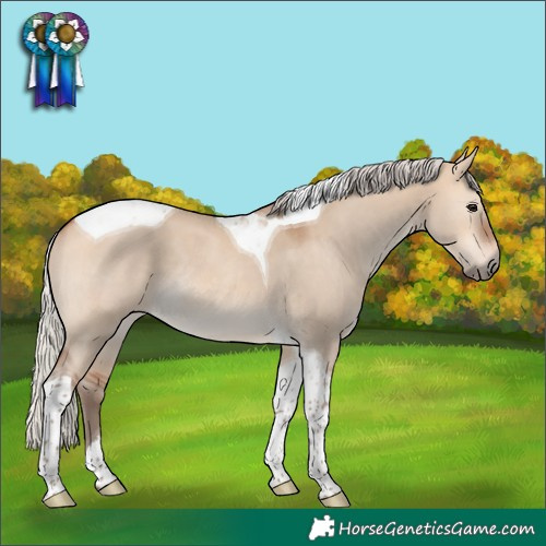 Horse Color:Silver Bay Dun Tobiano