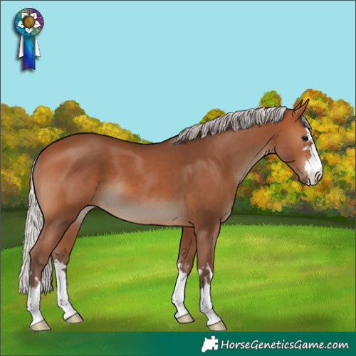 Horse Color:Silver Brown