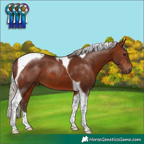 Horse Color:Silver Brown Tobiano