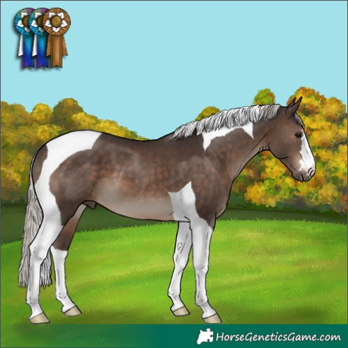 Horse Color:Silver Brown Tobiano