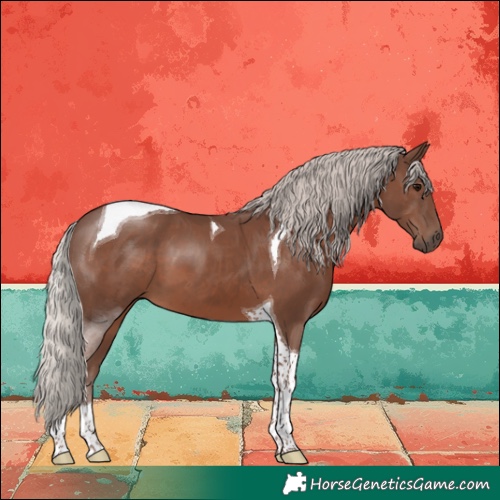 Horse Color:Silver Black Tobiano 