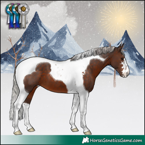 Horse Color:Silver Brown Tobiano