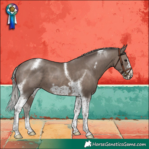 Horse Color:Silver Black Tobiano Frame