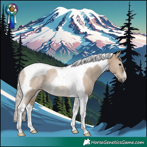 Horse Color:Silver Grullo Tobiano Rabicano