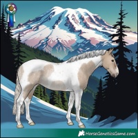 Horse Color:Silver Grullo Tobiano Rabicano 