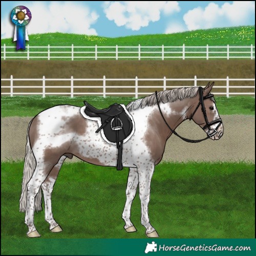 Horse Color:Silver Black Tobiano Frame