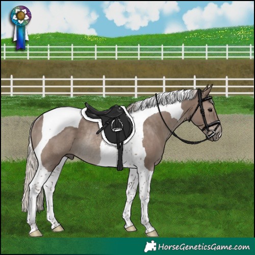 Horse Color:Silver Black Tobiano Rabicano