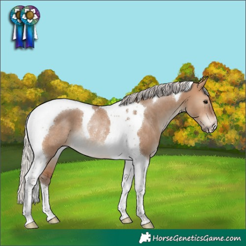 Horse Color:Silver Bay Dun Tobiano Rabicano