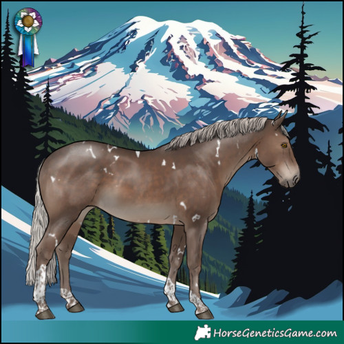 Horse Color:White Spotted Silver Black Tobiano Rabicano