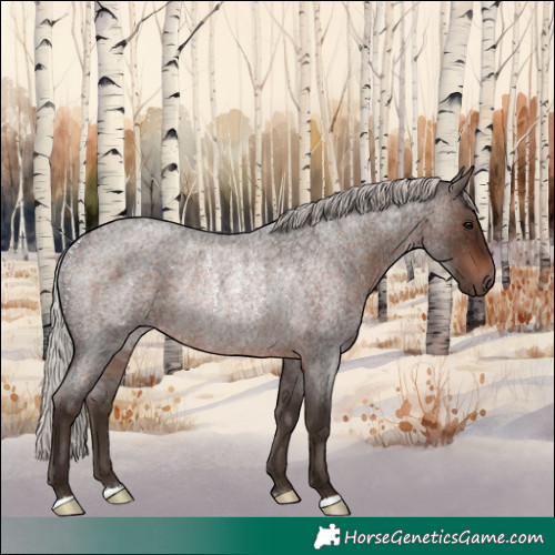 Horse Color:Silver Brown Roan Rabicano 