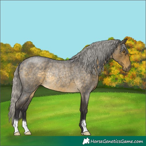 Horse Color:Silver Buckskin Roan Rabicano 