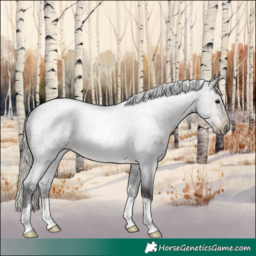 Horse Color:Silver Smoky Blue Roan 